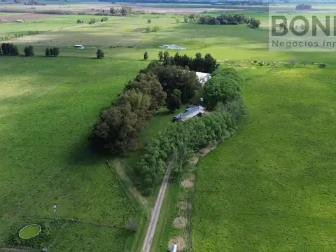 Campo en venta de 38 hectáreas con importante infraestructura productiva en Navarro sobre RP 41