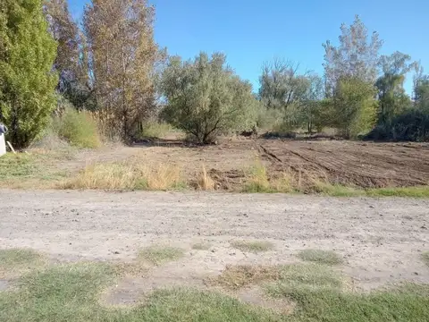 Terreno en Venta 31  mts Frente