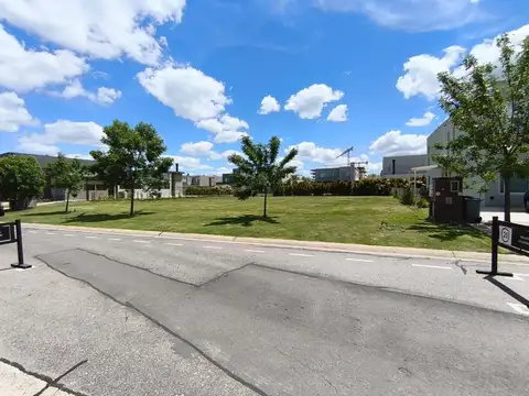 Puertos del Lago, Araucarias.