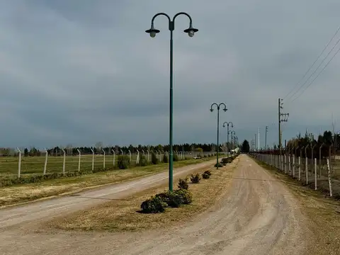 Terreno en Fincas Joven