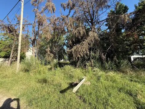 Terreno en Venta de 300,0 m2