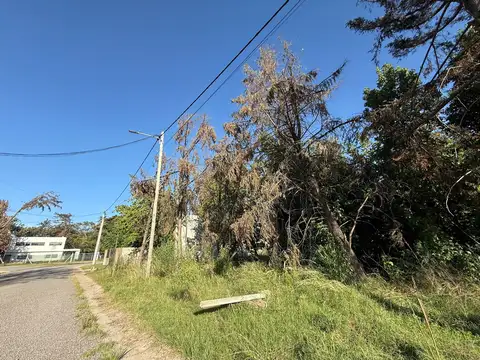 Terreno en Venta de 300,0 m2
