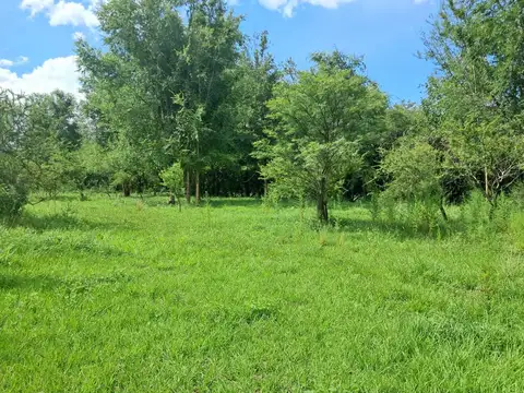 Terreno en Venta de 40000,0 m2