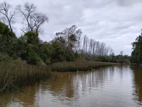 Carapachay, Zona Delta, Tigre, G.B.A. Zona Norte, Argentina