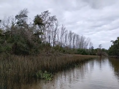 Rio / Arroyo  Carapachay  KM 12 Chacras Náuticas 100