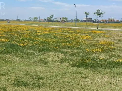 Terreno en Venta 20  mts Frente