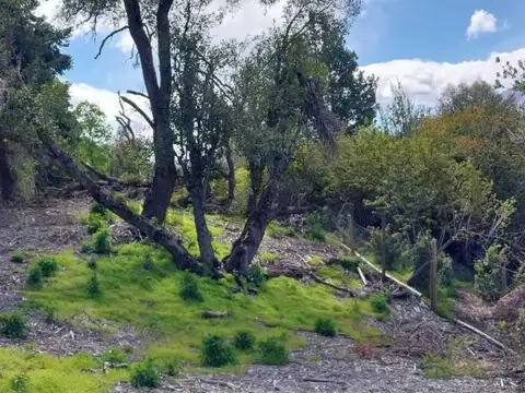 VENTA TERRENO SAN MARTIN DE LOS ANDES .  ALIHUEN ALTO