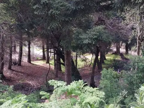 VENTA TERRENO SAN MARTIN DE LOS ANDES .  ALIHUEN ALTO C/FINANCIACION