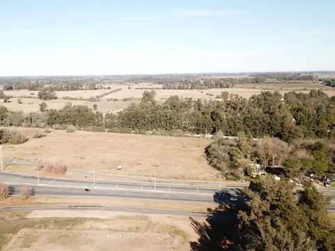 Terreno en Venta de 8000,0 m2