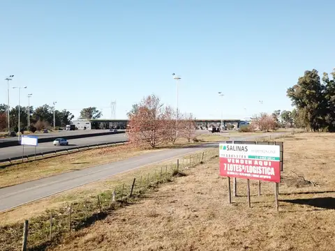 Terreno en Venta de 8000,0 m2