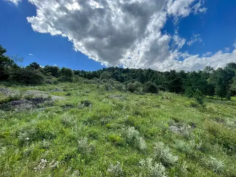 SE VENDE LOTE DE 4 HECTAREAS EN SAN CLEMENTE