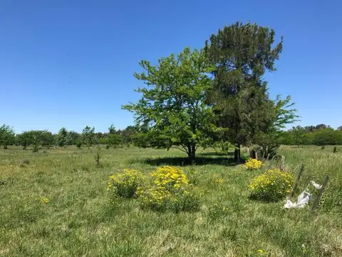 Terreno en Venta de 9850,0 m2