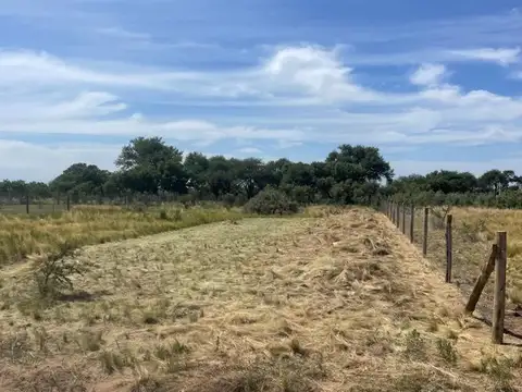 Terreno en Venta de 1503,0 m2