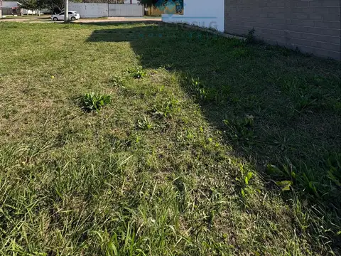 VENTA-LOTE ESQUINA 325 M²- CALLE 11, COLONIA CAROYA