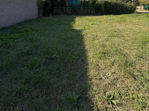 VENTA-LOTE ESQUINA 325 M²- CALLE 11, COLONIA CAROYA