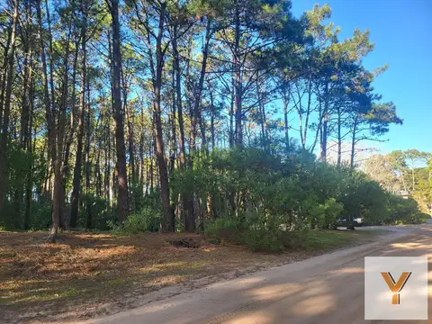 Terreno en Venta de 629,0 m2