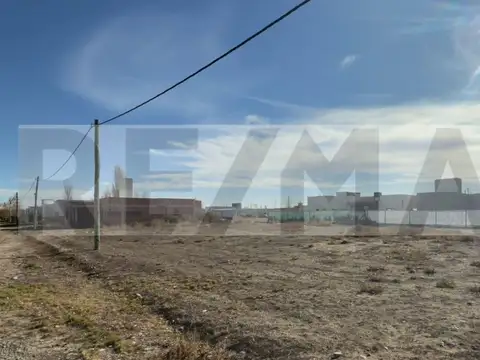 Gobernador Viterbori 5500