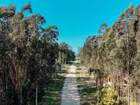 Terreno en Venta 15  mts Frente