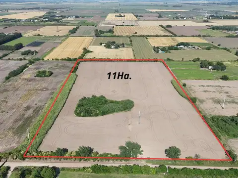 VENTA Campo 11 Has agrícolas - Pérez