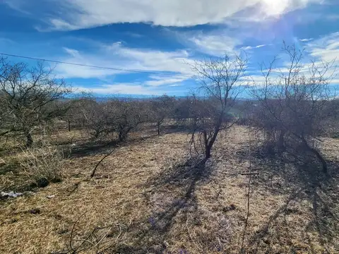 Terreno en Venta 50  mts Fondo
