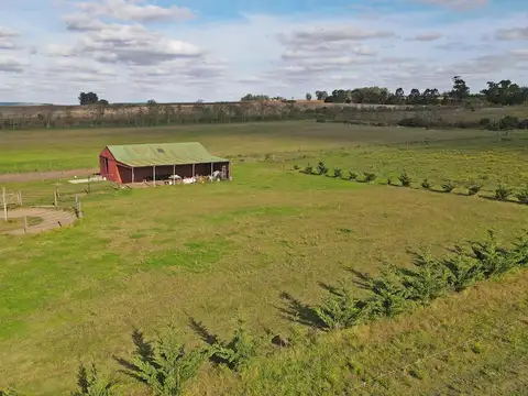 Balcarce - 10 ha. Agricola con vista a las sierras