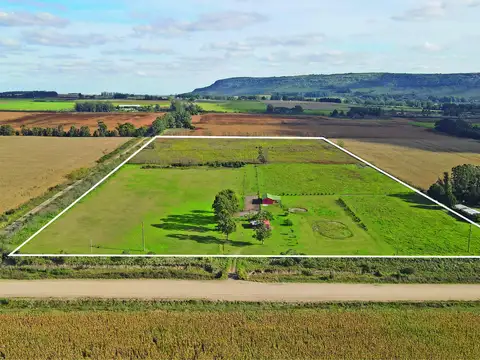 Balcarce - 10 ha. Agricola con vista a las sierras
