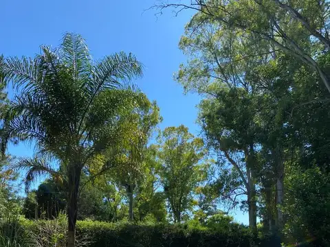 Casa quinta en Barrio la Florida con amplio parque y pileta!