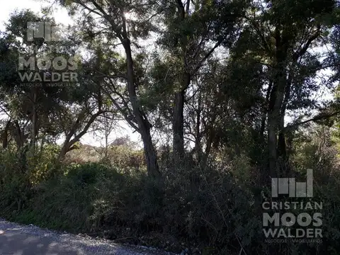 Loma Verde
