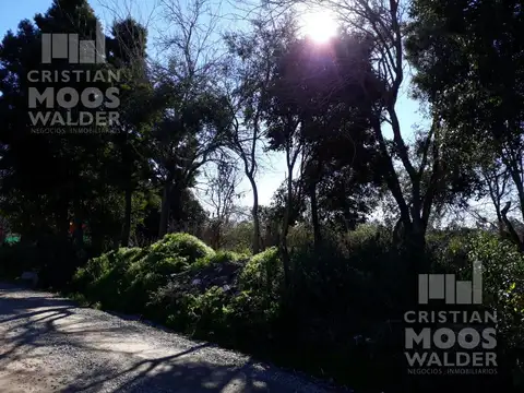 Terreno en Venta en Loma Verde, USD 65.000