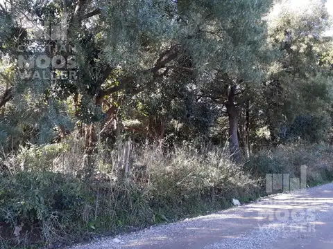 Terreno en Venta en Loma Verde, USD 85.000