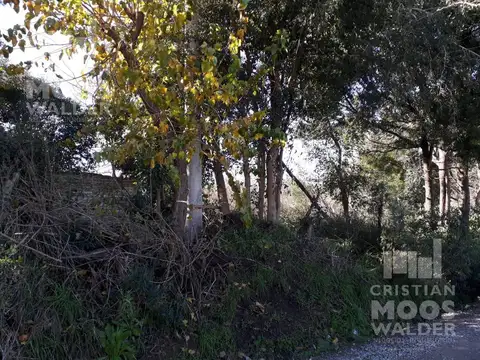 Lote en Venta en Loma verde -