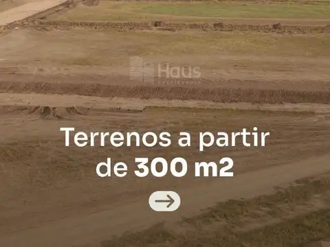 Telemaco Susini 1400