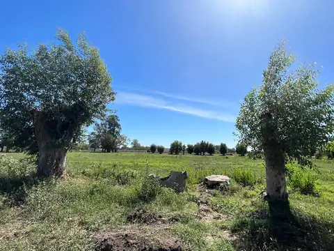 Terreno en Venta de 880,0 m2