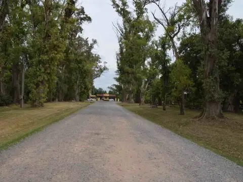 Terreno en Venta de 25000,0 m2