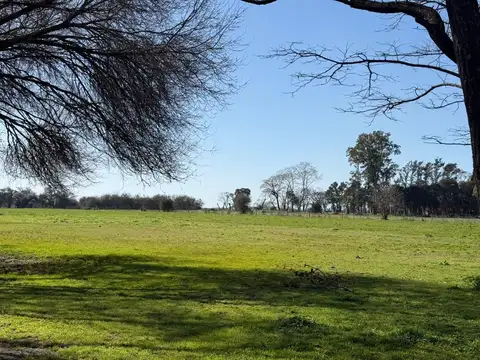 Terreno en Venta en Empalme Lobos, USD 250.000