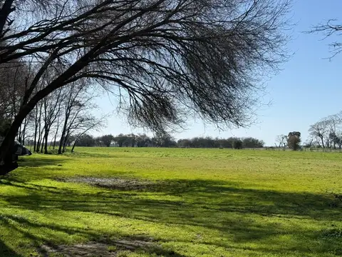 Terreno - Venta - Argentina, Lobos