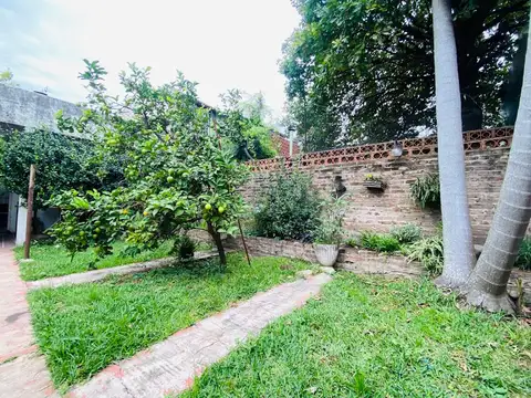 Bv Segui 300