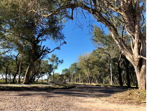 Terreno en Venta de 250,0 m2