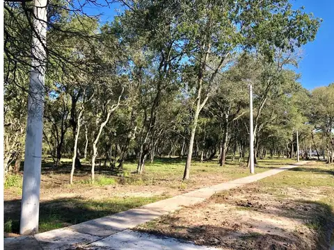 Parque Arboledas