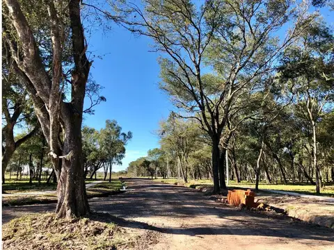 Terreno en Venta 25  mts Fondo