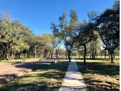 Terreno en Venta de 250,0 m2