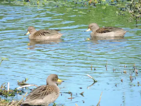 Excelente Lote al arroyo