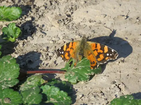 Terreno en Venta en Manuel Alberti, USD 246.750