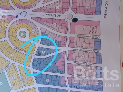 Sargento King al 100