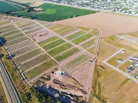 VENTA TERRENO 300, RICARDONE