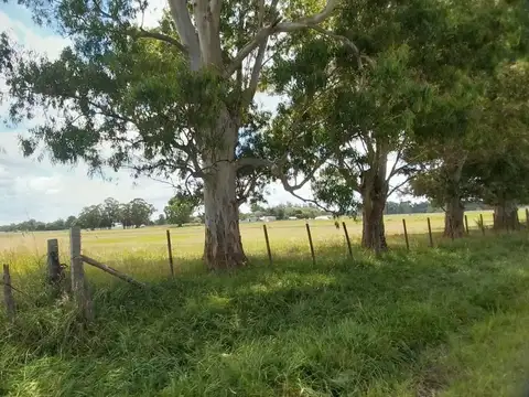 Terreno en Venta de 110000,0 m2