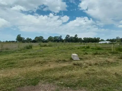 Terreno en Venta de 110000,0 m2