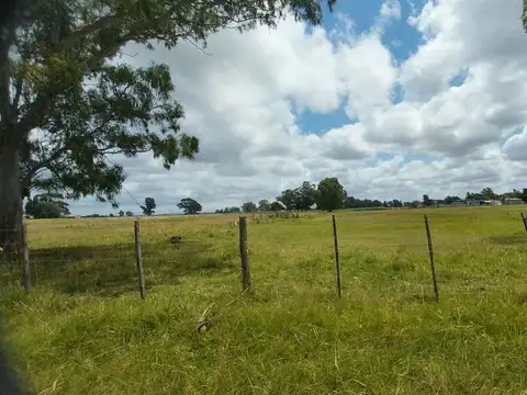 Venta de Campo de 11 hectáreas en El Casal