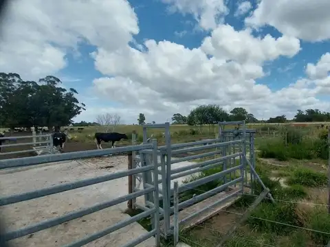 Venta de Campo de 11 hectáreas en El Casal