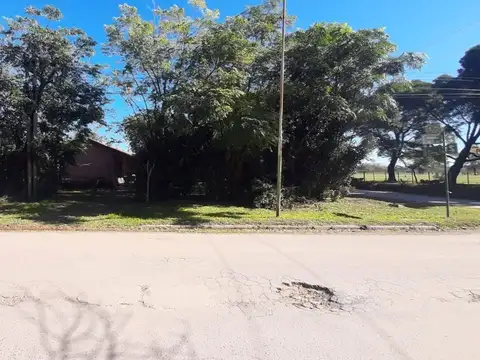 CARDONER Y DE LA TRADICIÓN 100